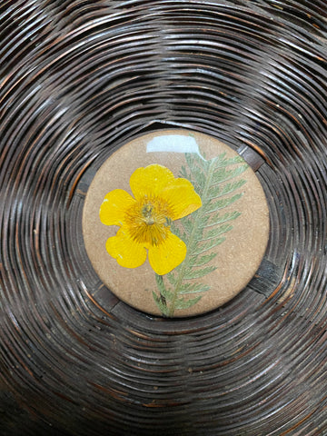 Magnet - Buttercup with leaf